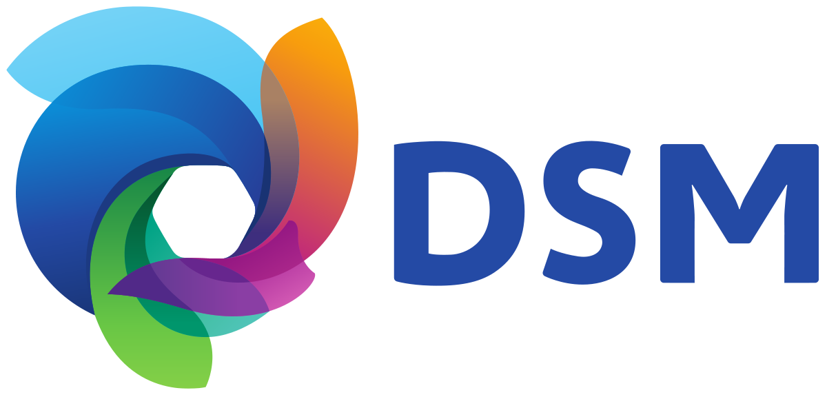 Digitale-vaardigheden-DSM logo
